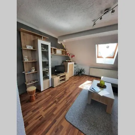 Mit Elbwiesenblick *