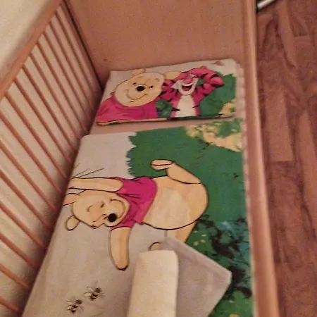 Mit Elbwiesenblick Appartamento Wittenberg