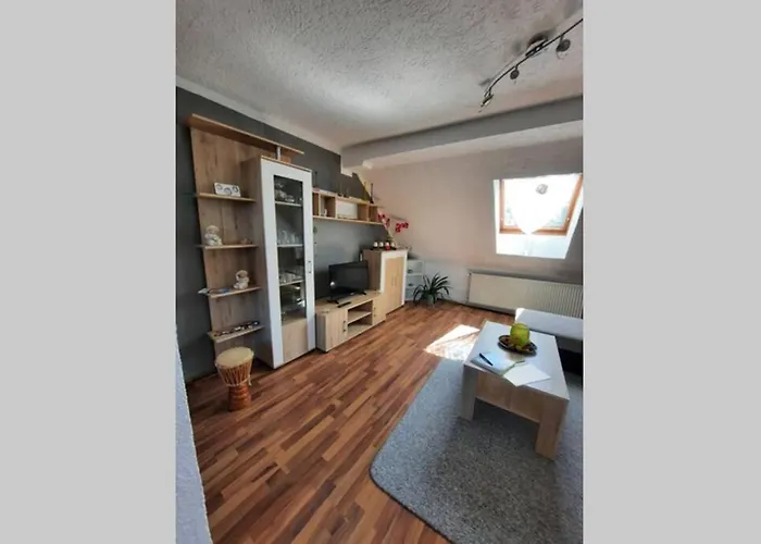 Mit Elbwiesenblick *