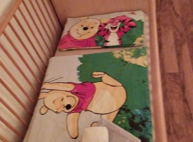 Mit Elbwiesenblick דירה Wittenberg